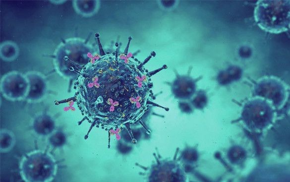 Infectious Disease Test